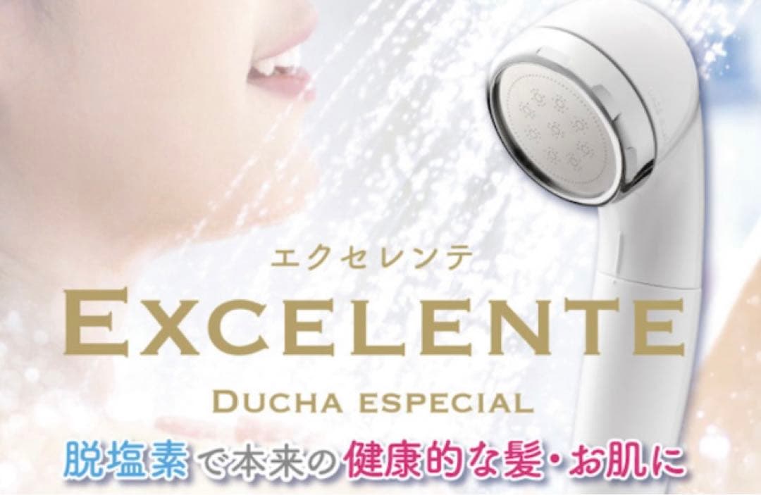 未開封！エクセレンテ　シャワーヘッド