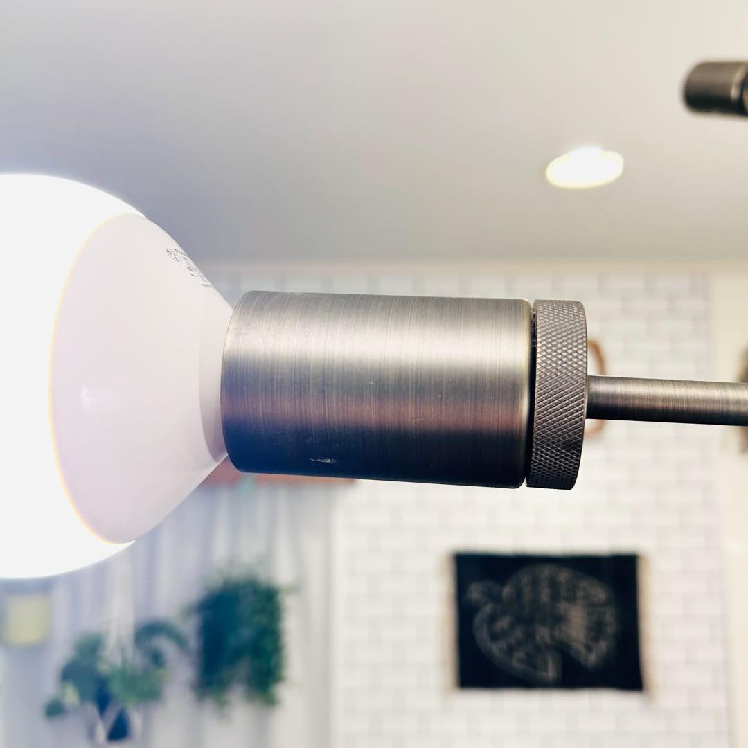 DI CLASSE Cardinal 6灯 ペンダントライト