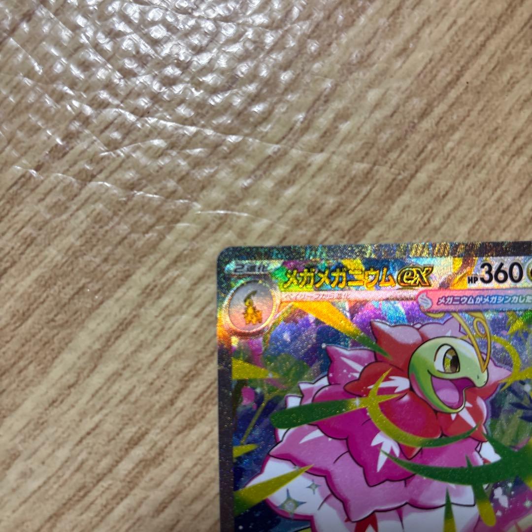 ポケモンカードデッキ 101/100