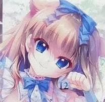 サクサクパンダ様　まとめ　色紙　B2タペストリー