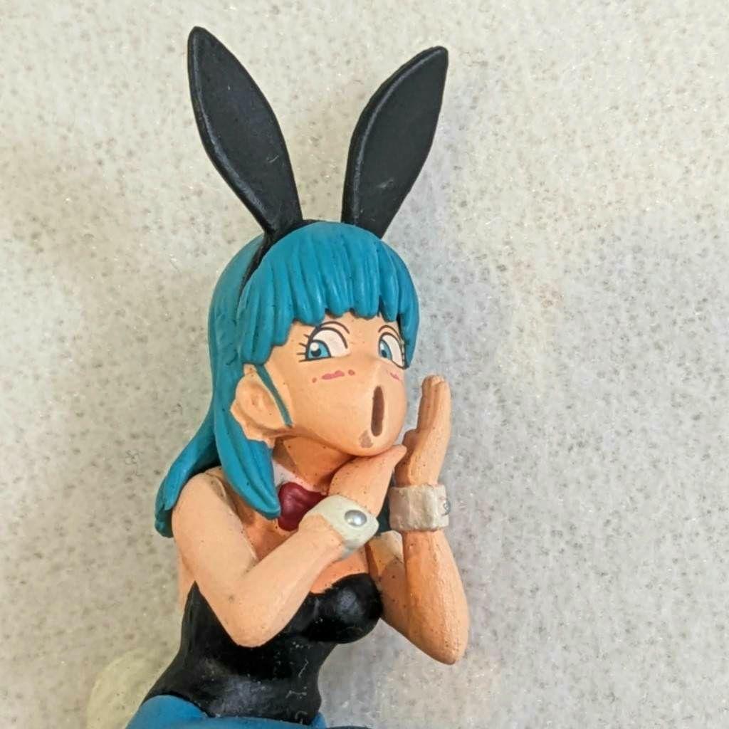 ドラカプ はじまりは四星球 ドラゴンボールメモリーズ編 亀仙人 ブルマ