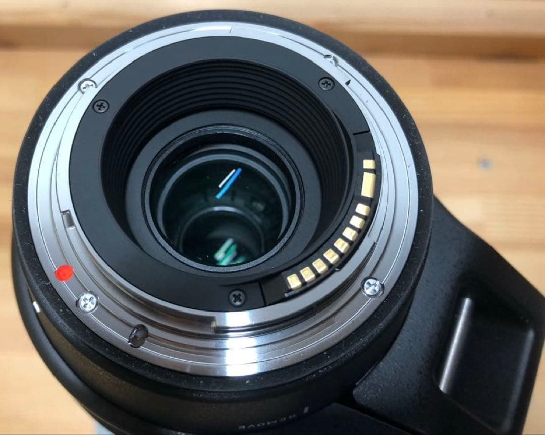 SIGMA 150-600mm F5-6.3 DG（Canon EFマウント用）