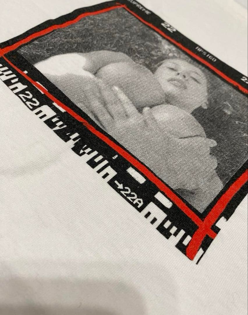 紅*ン様 【超激レアLサイズ】supreme テリーリチャード ヌードフォトグラ