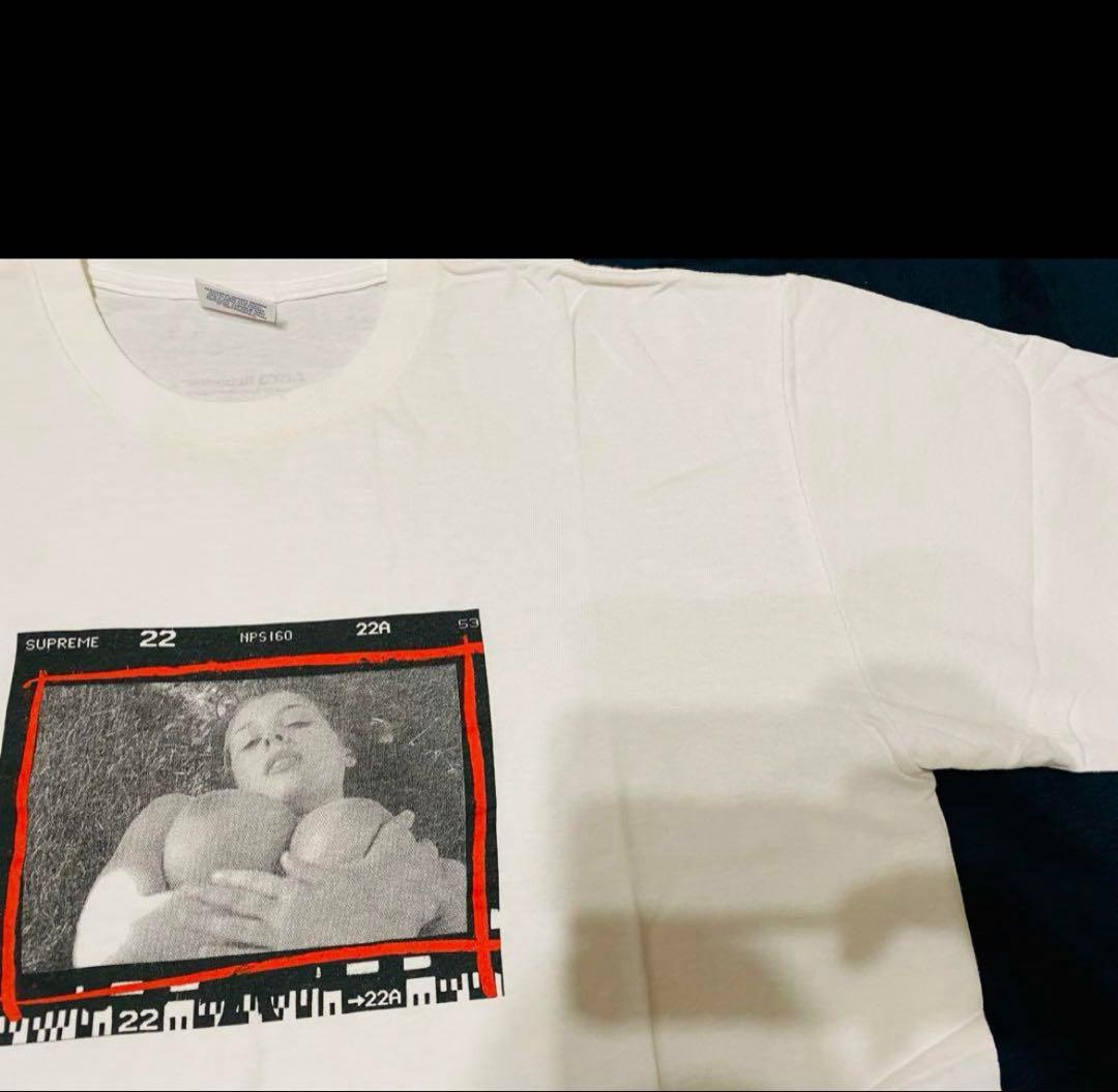 紅*ン様 【超激レアLサイズ】supreme テリーリチャード ヌードフォトグラ