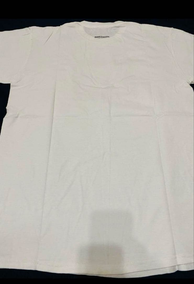 紅*ン様 【超激レアLサイズ】supreme テリーリチャード ヌードフォトグラ