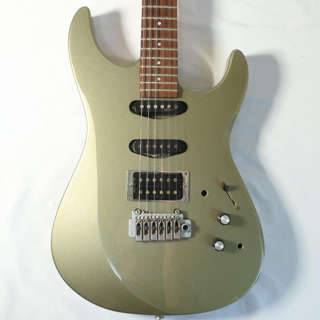 FERNANDES SUSTAINER エレキギター ケース付 GOTOHペグ