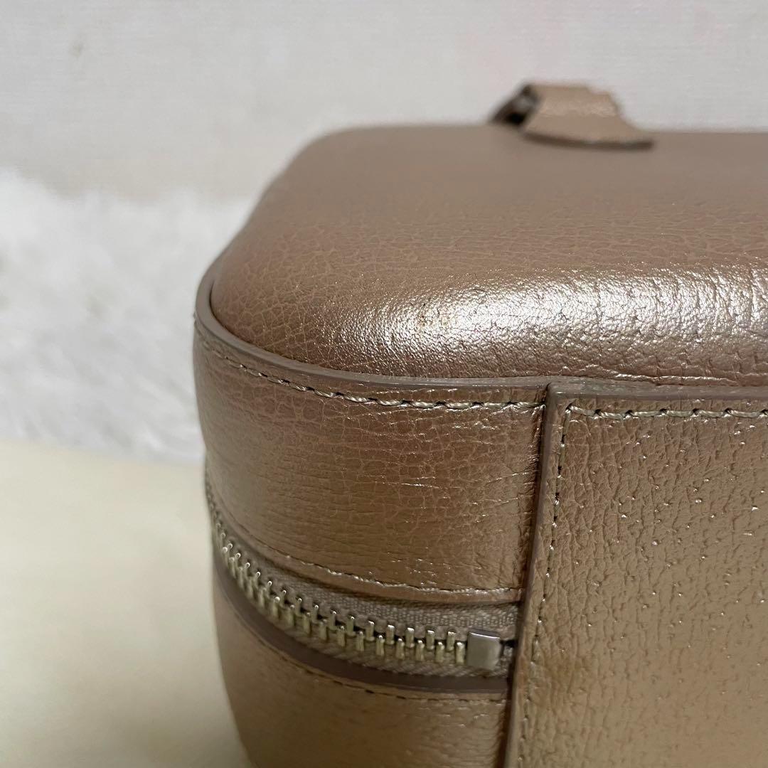 ⭐️未使用⭐️ 土屋鞄製造所　オペラバッグ　ハンドバッグ　シャンパンゴールド