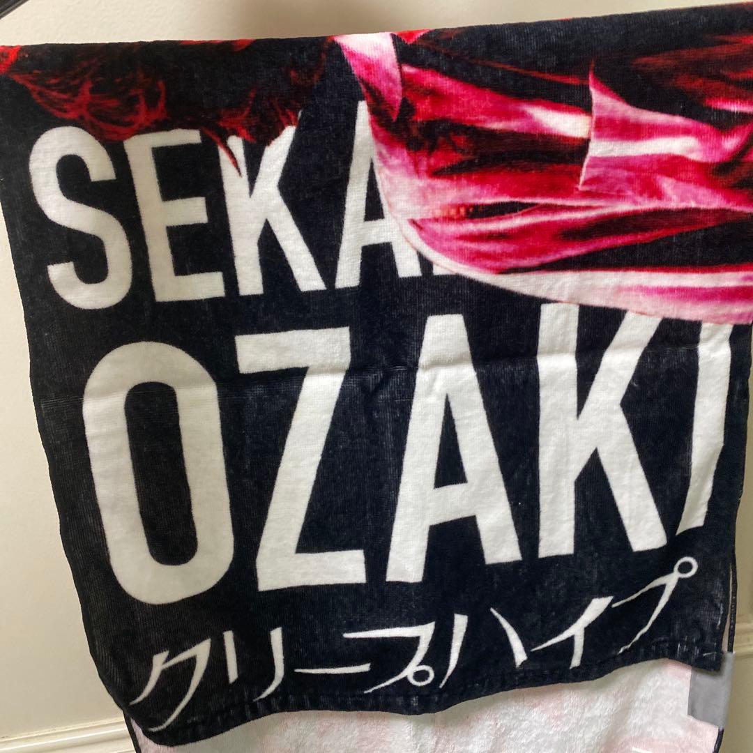 イタタオル2　尾崎世界観