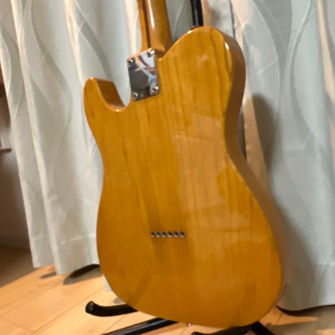 【専用】fujigen テレキャスタータイプ　timeless timber