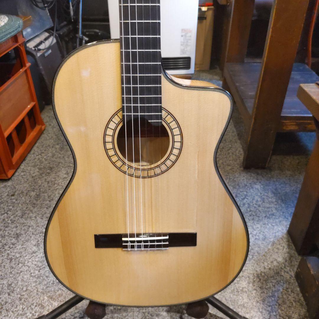 MARTINEZ MP-12 Maple エレガット (管理イオ)