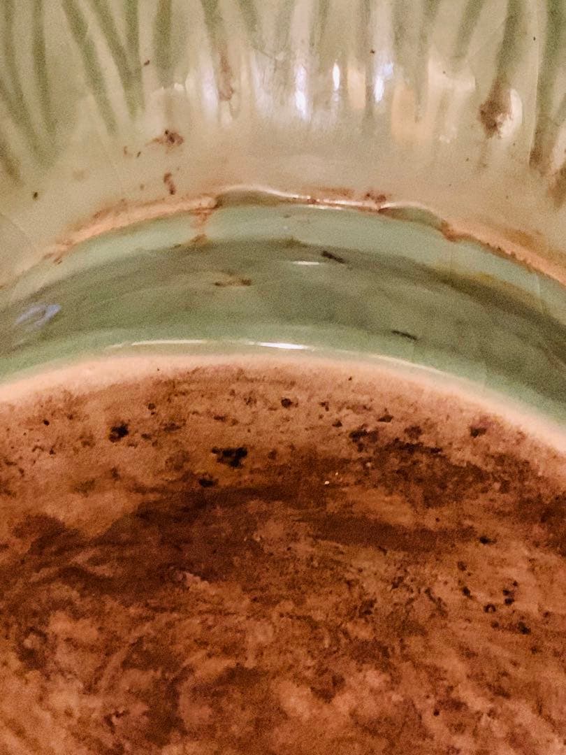 中国清時代竜泉窯大花瓶