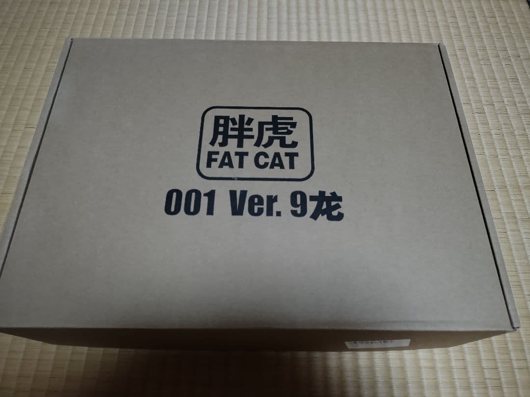 新品　RG拡大版 1/100 RX-78 ガンダム FAT CAT　九龍Ver