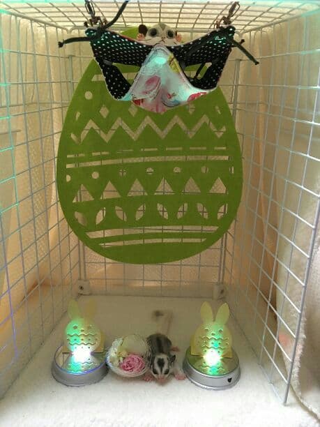 モモンガハウス(スイーツ柄Ver.5)茶ドット春(夏)秋仕様 小サイズ1850円