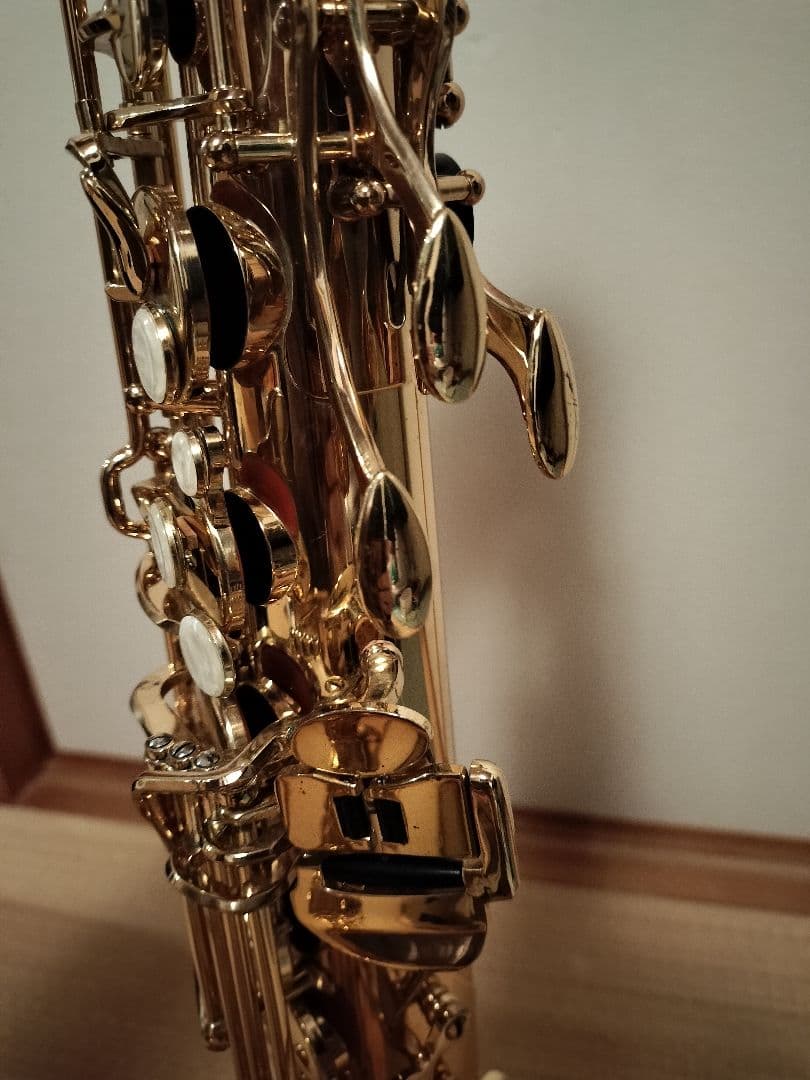 J.Michael TN-600 テナーサックス 管楽器 ハードケース付属