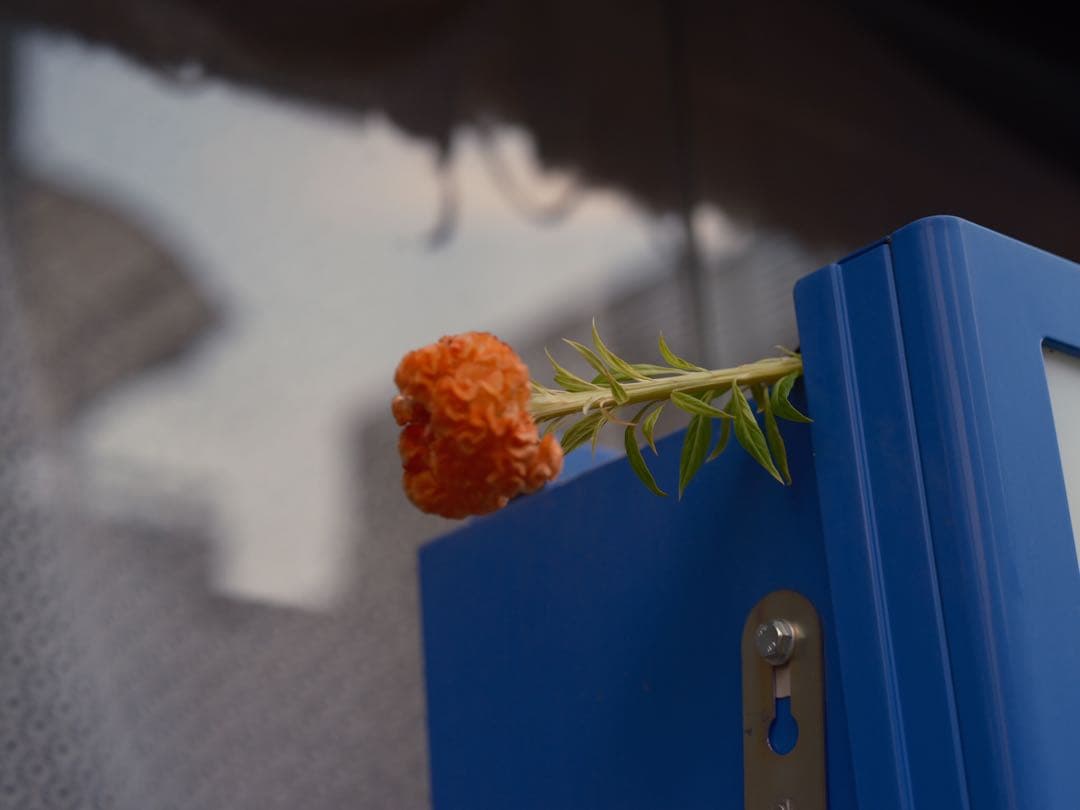 中一光学 Mitakon SPEEDMASTER 80mm F1.6 GFX用