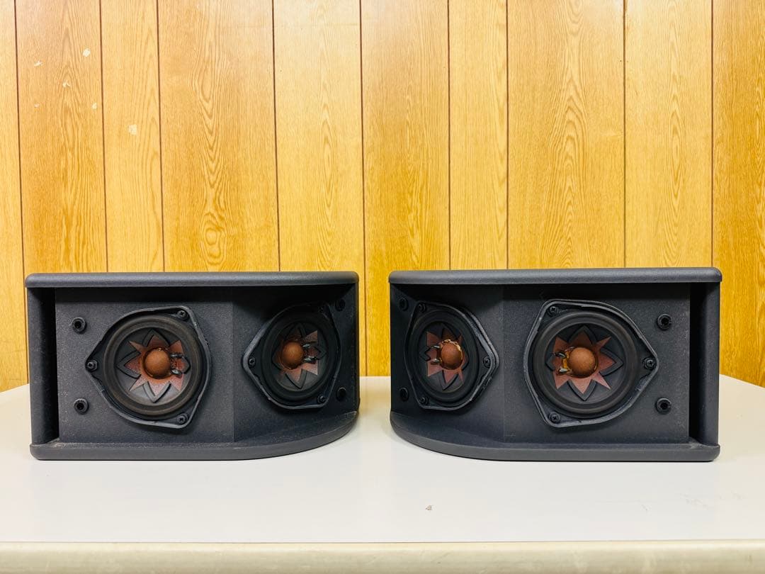 BOSE ボーズ 300PM LOUD SPEAKER スピーカー ペア