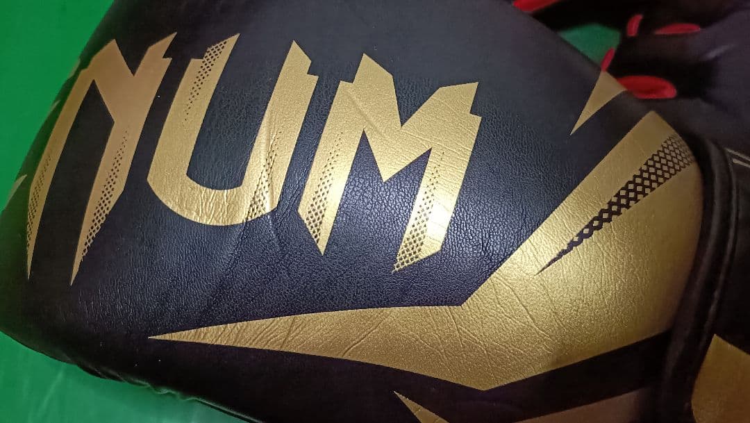 清*郎様 Venum ボクシンググローブ Isami オープンフィンガーグローブ