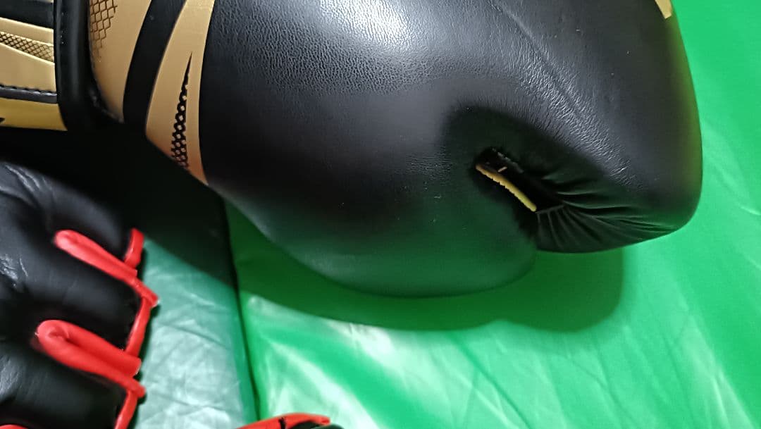 清*郎様 Venum ボクシンググローブ Isami オープンフィンガーグローブ