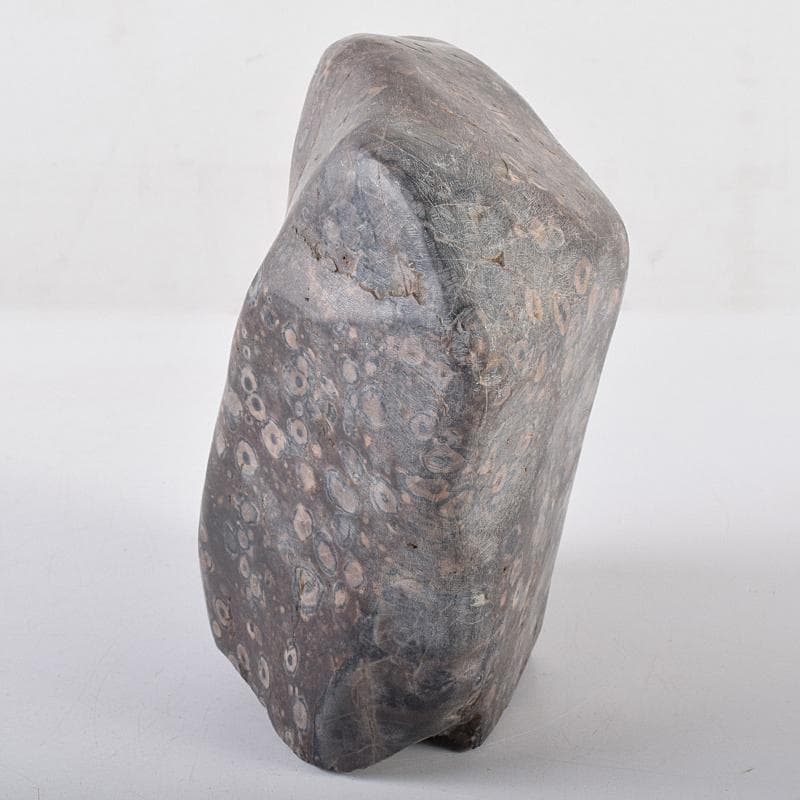 天然石　鑑賞石　梅花石　置物　重さ約2222g　V　R8610