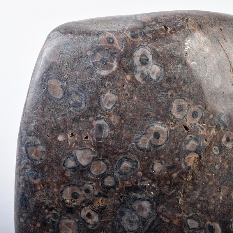 天然石　鑑賞石　梅花石　置物　重さ約2222g　V　R8610