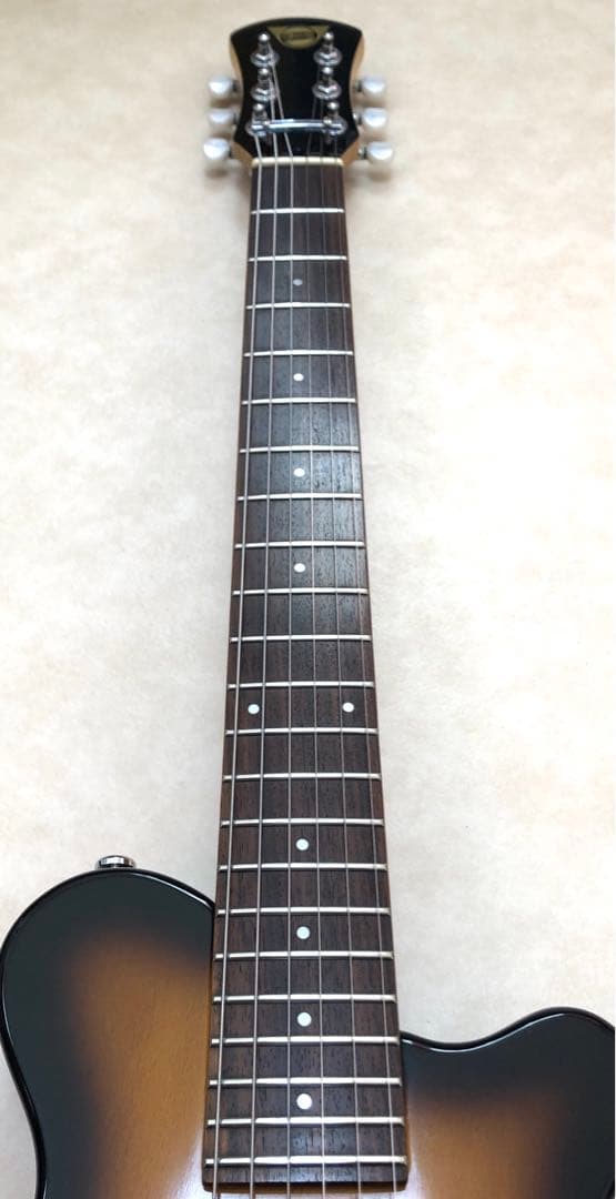 ★美品★PIGNOSE アンプ内蔵ミニギター BS ピグノーズ トラベルギター