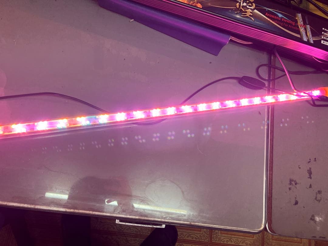 kondo　　アロワナ用LEDライト minila ask 煌　120用