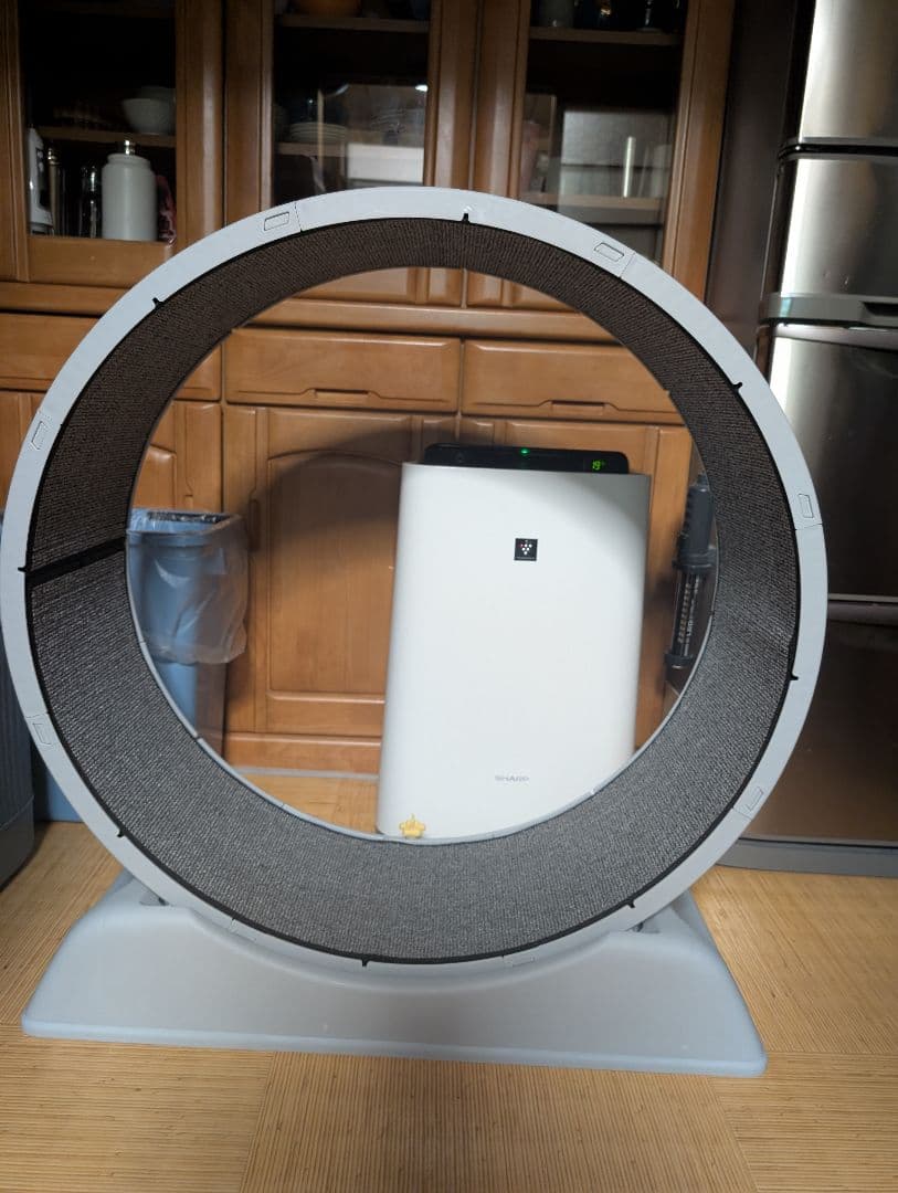 キャットホイール 直径80cm