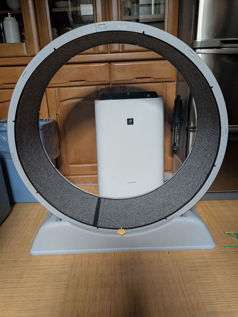 キャットホイール 直径80cm