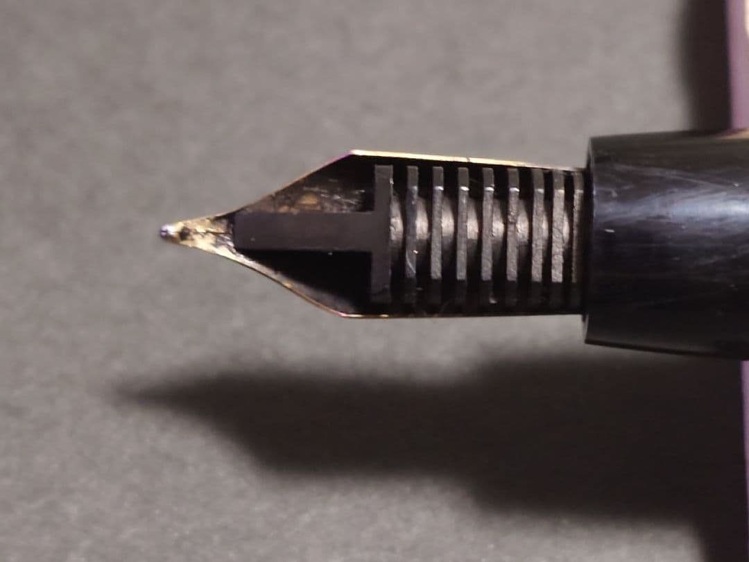 ウォーターマン　WATERMAN 万年筆 plaque or g