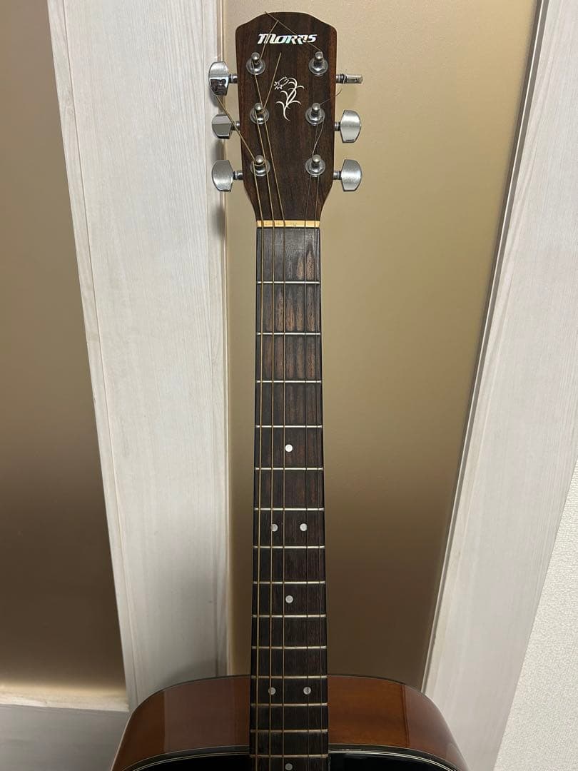 Morris M-121TS アコースティックギター