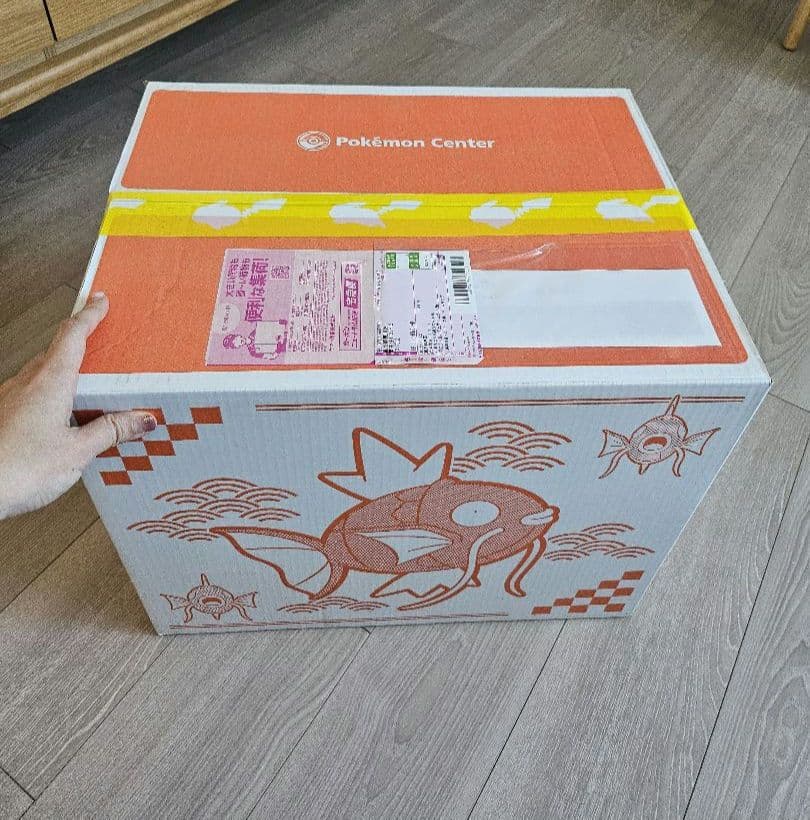 ポケモン ピカピカボックス 2026 金のコイキング イーブイ