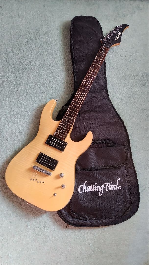 Charming Bird エレキギター CDK-A2 YMN