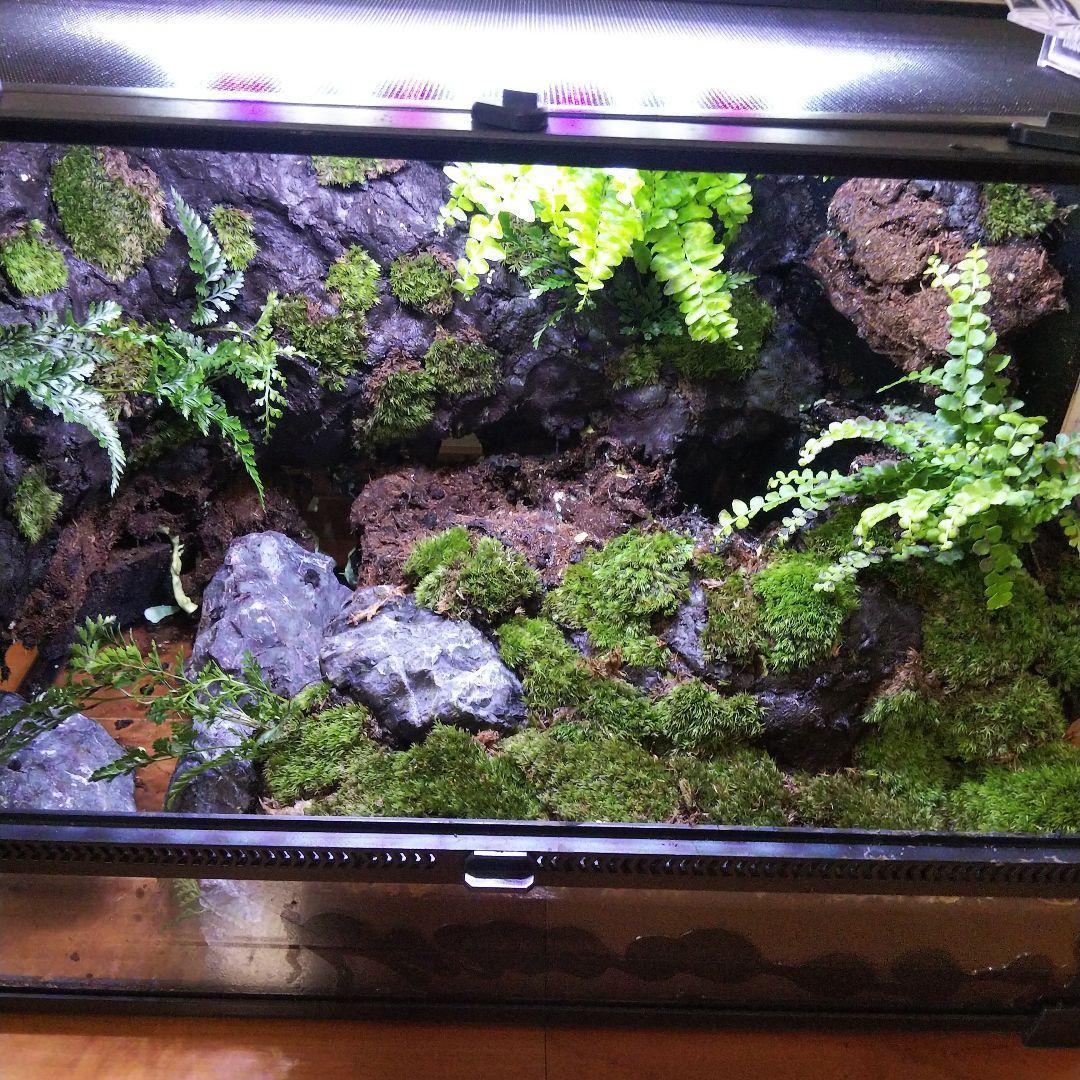 勢良雄太郎専用ページ