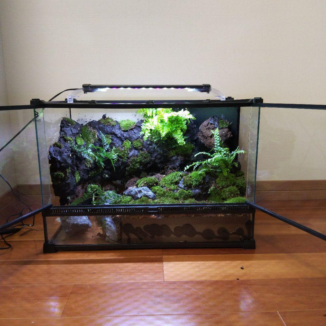 勢良雄太郎専用ページ