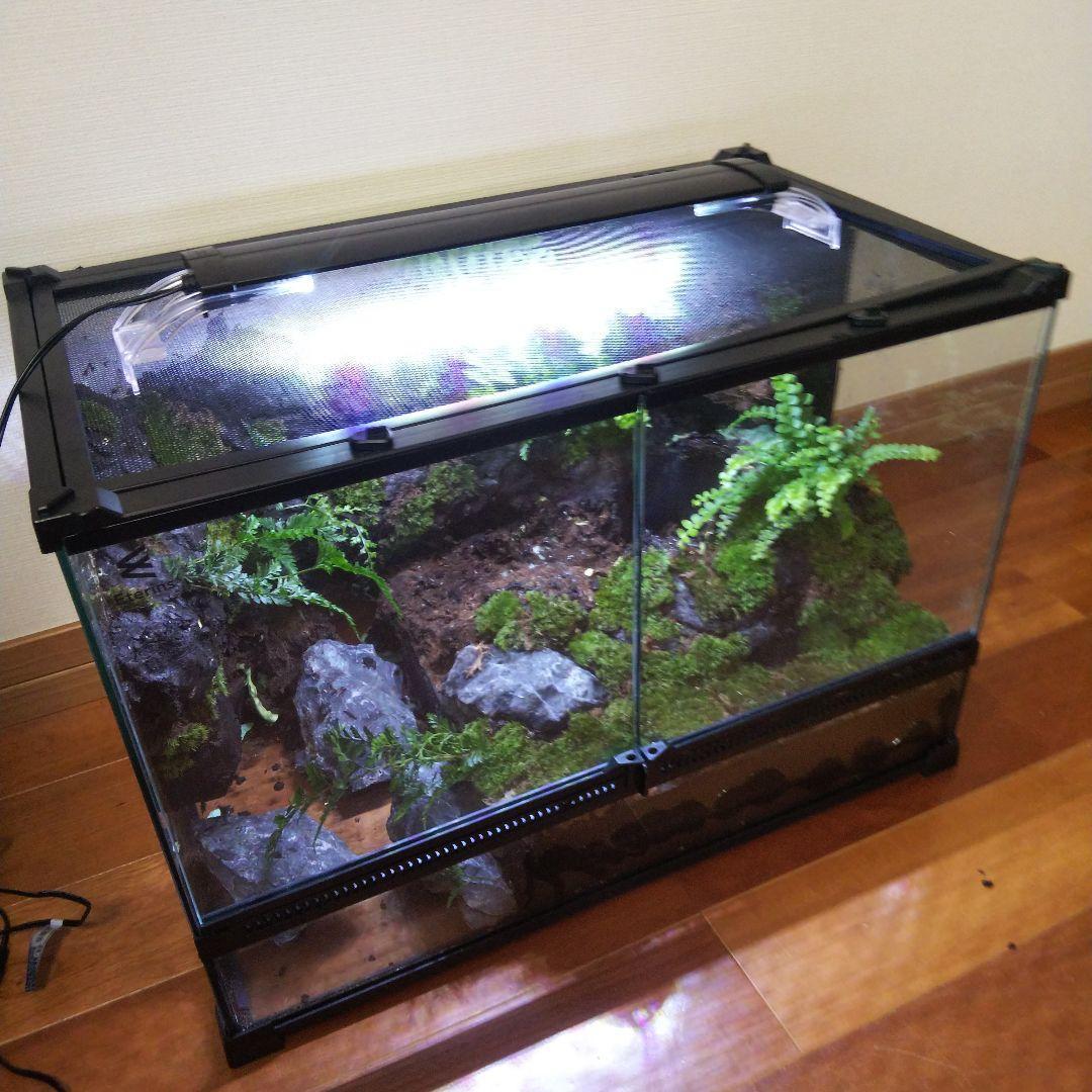 勢良雄太郎専用ページ