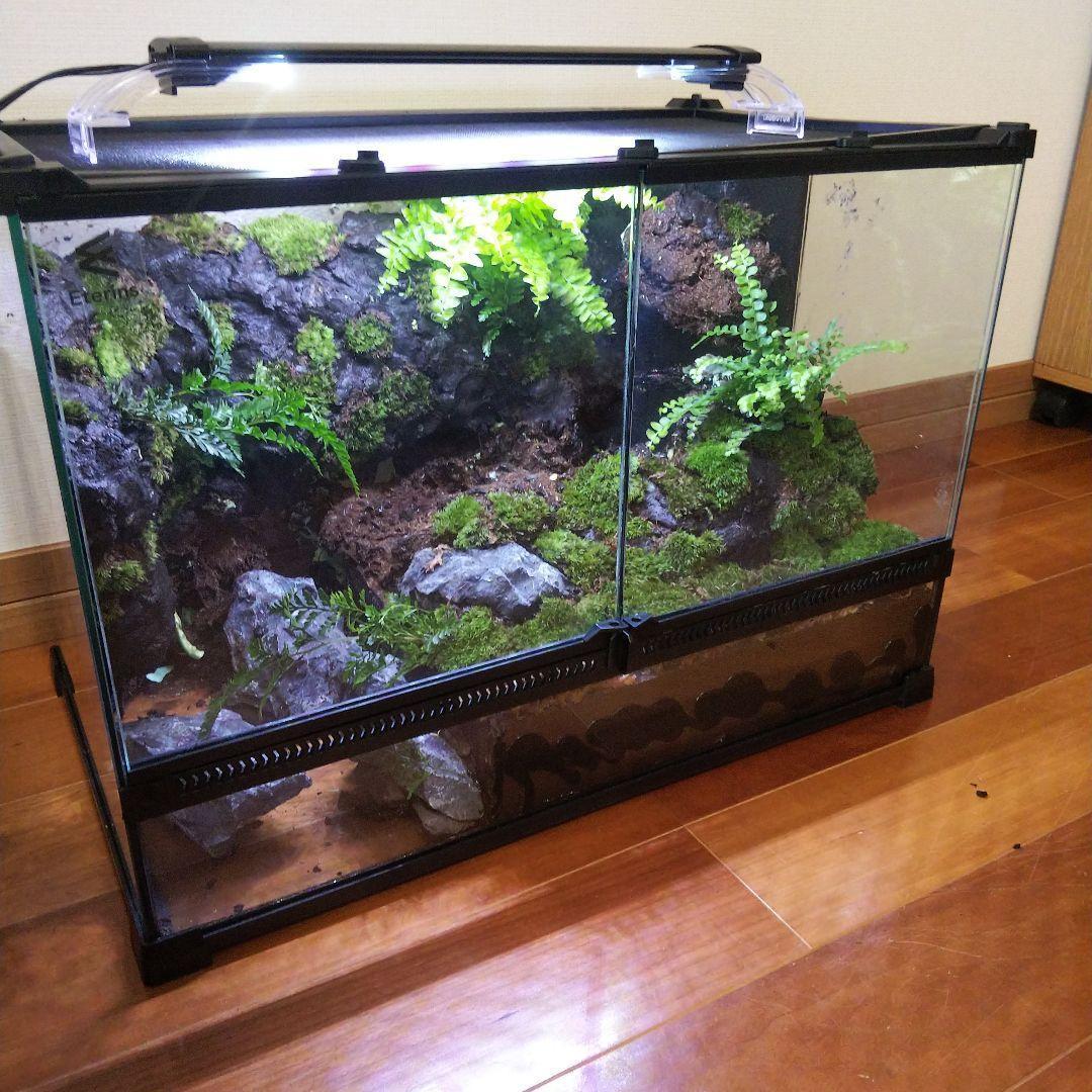 勢良雄太郎専用ページ