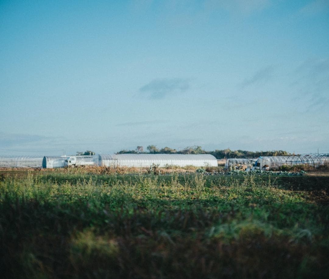 レンズ(単焦点) CONTAX Zeiss Planar T* 85mm F1.4