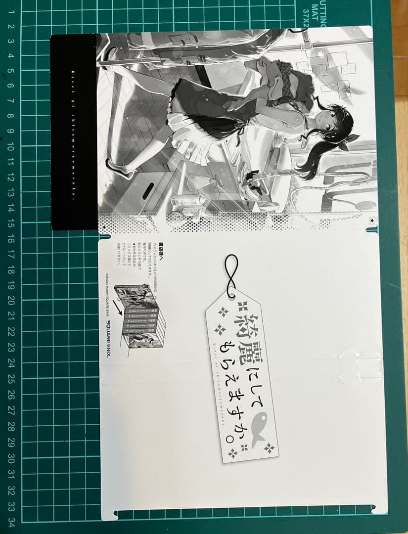 綺麗にしてもらえますか。　ポスター・グッズセット