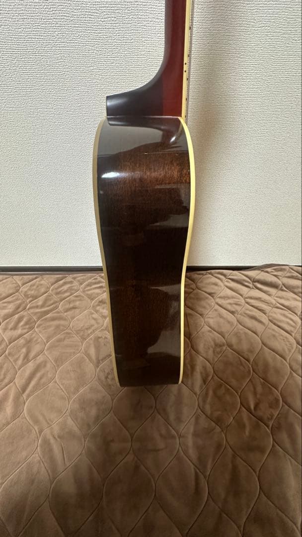 Pro Martin W‑200by ROGAR 日本製 アコースティックギター