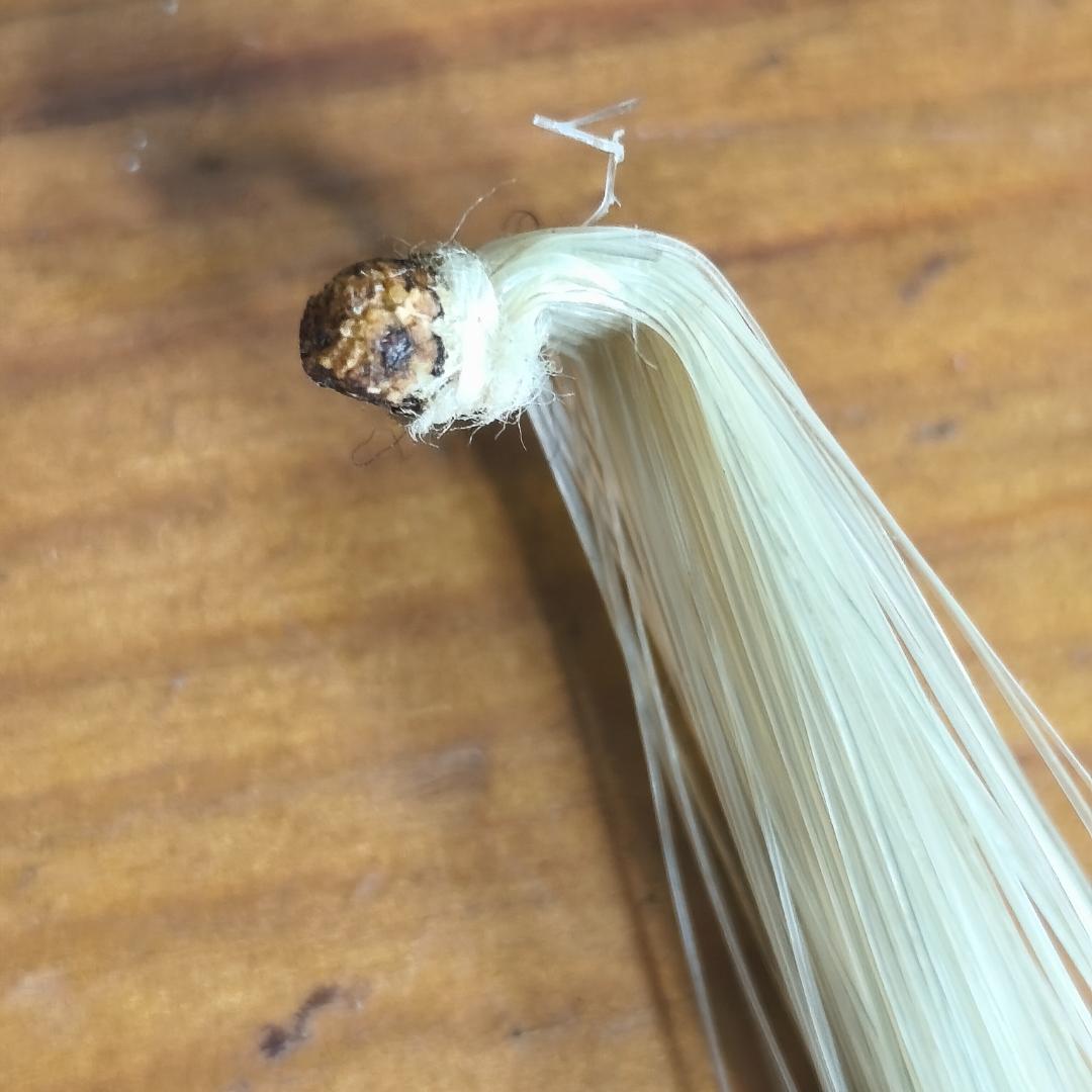 SUZUKI　バイオリン NO280 1/2サイズ　ケース付き