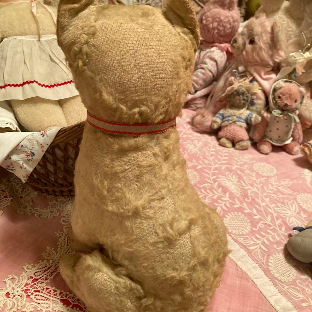 猫ちゃん リボン付き 約30cm