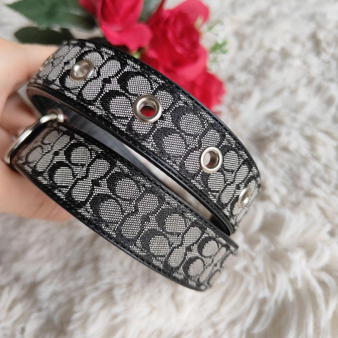 新品　コーチ　COACH　犬　首輪　中型犬　大型犬　ラージサイズ　シグネチャー