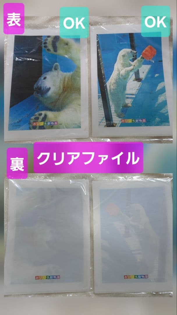 しろくまっこ ①