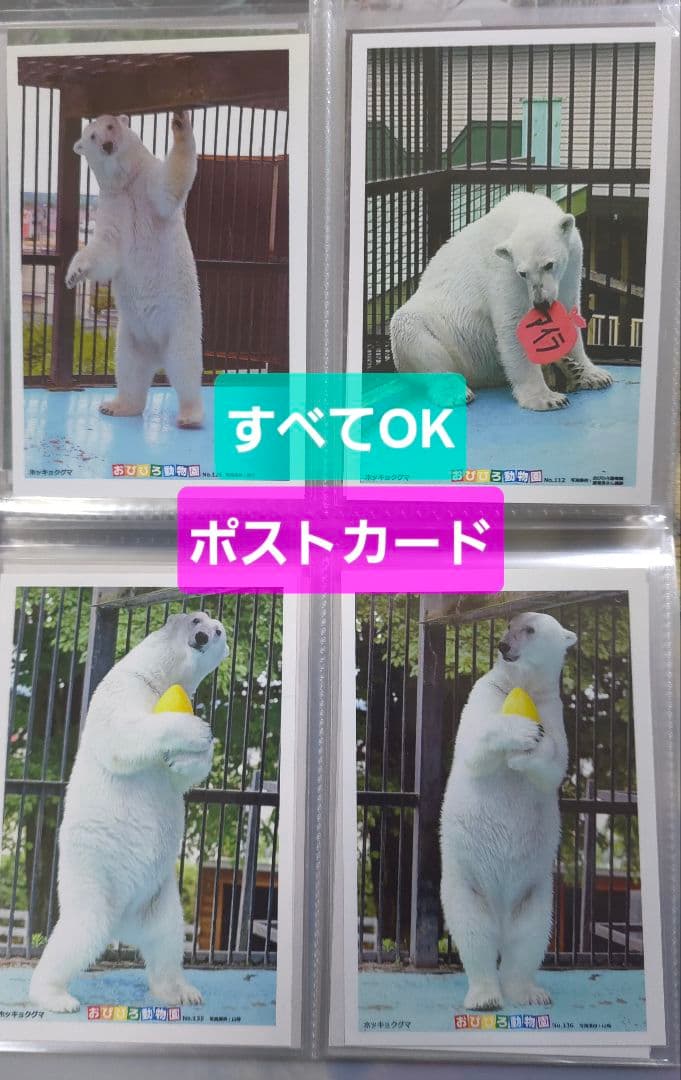 しろくまっこ ①