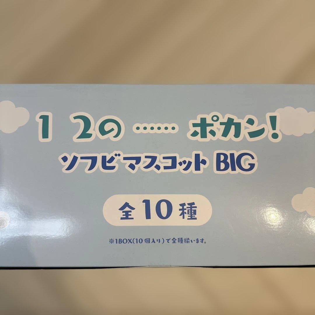 ポケモン 1 2の…ポカン！ソフビマスコット BIG 全10種