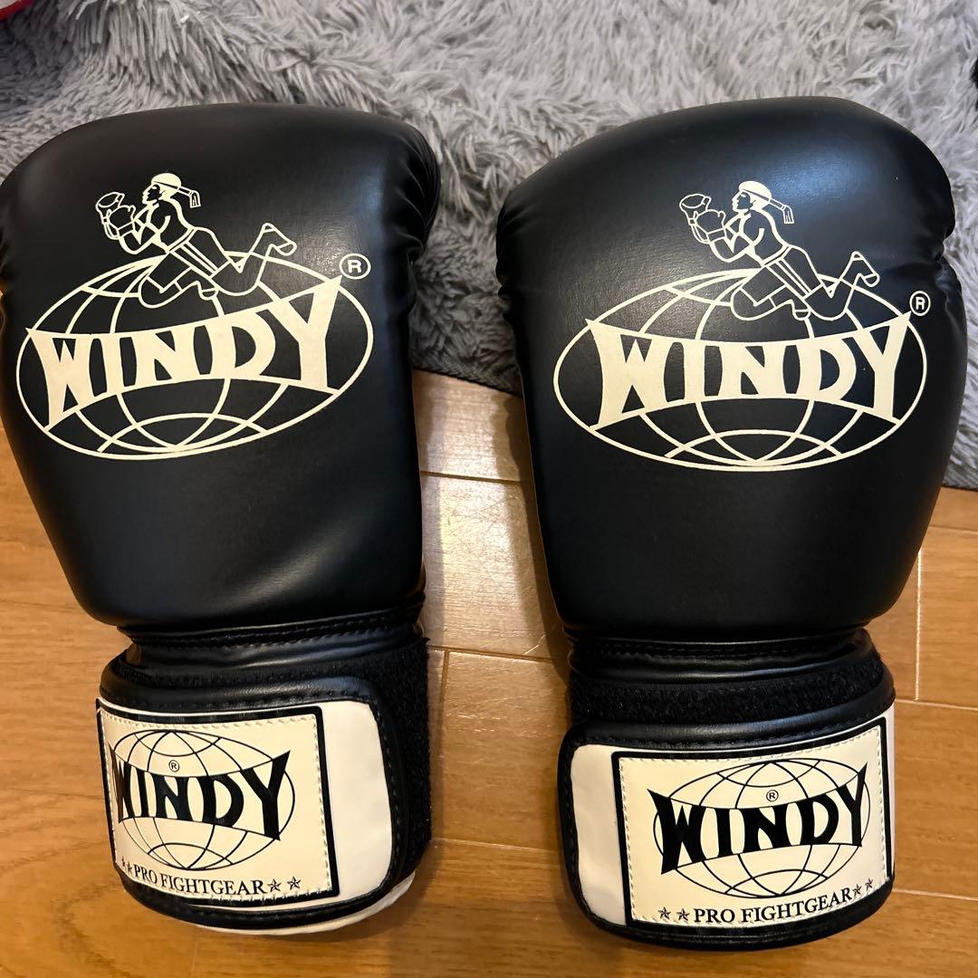 WINDY ボクシンググローブ BGVH - 14C
