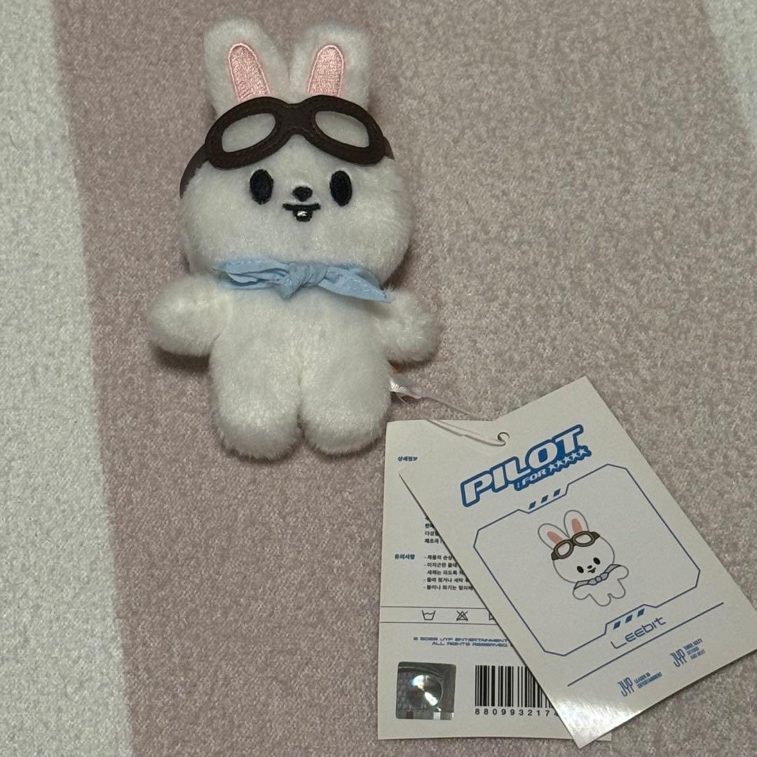 最終値下げstraykidsリノLeebit ぬいぐるみ&マスコット 6点セット