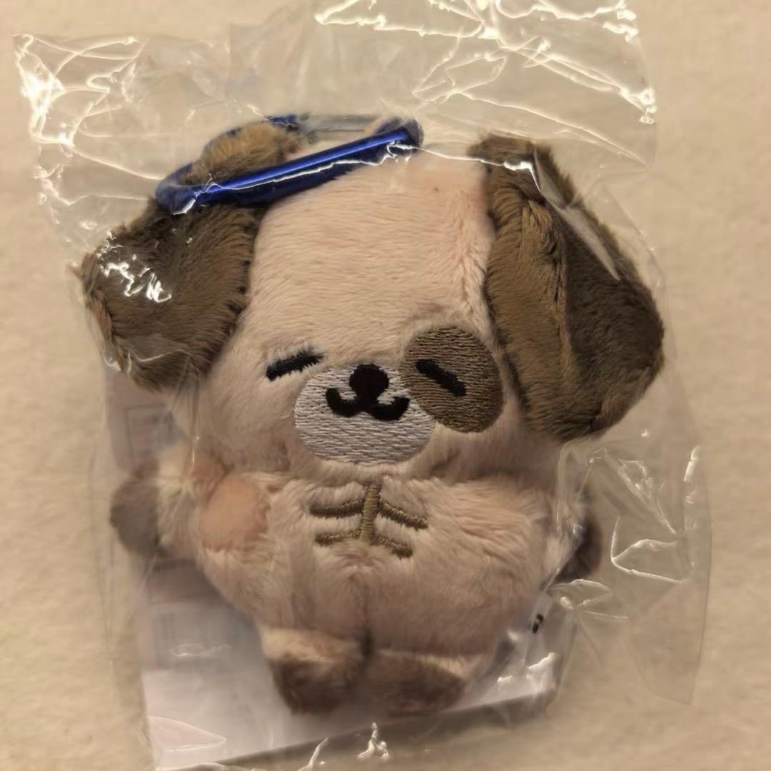 ドンへ ぬいぐるみキーホルダー ファンライトアクセサリー セット DONGHAE