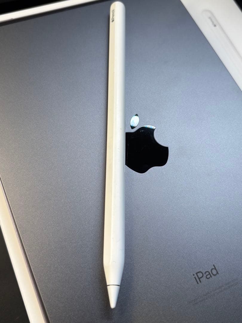 Mr.Rius iPad mini 6世代 スペースグレーアップルペンシル