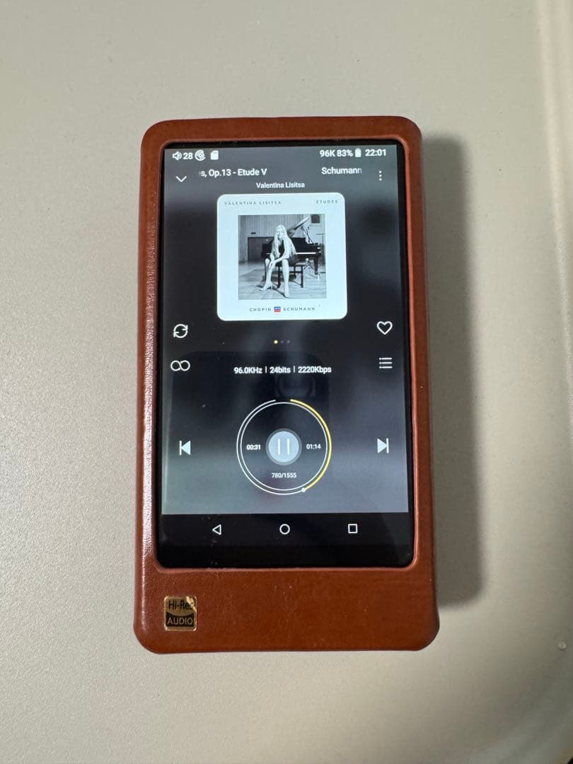 Hiby R6 Pro DSD対応 デジタルオーディオプレーヤー